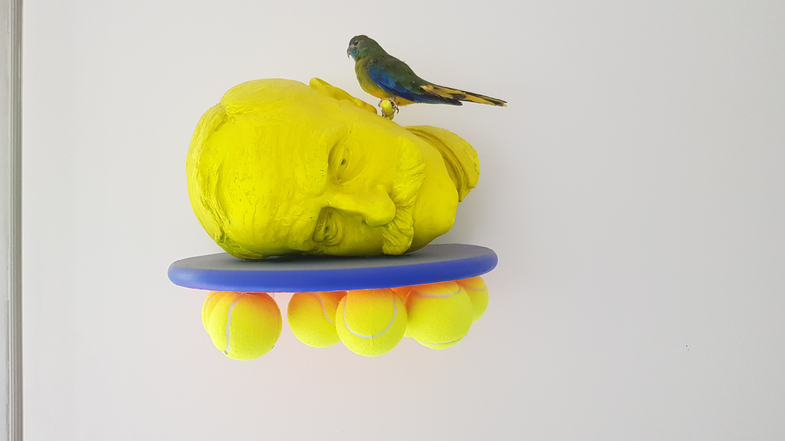 Le confidant - Platre - bois- Taxidermie - balles - 2018